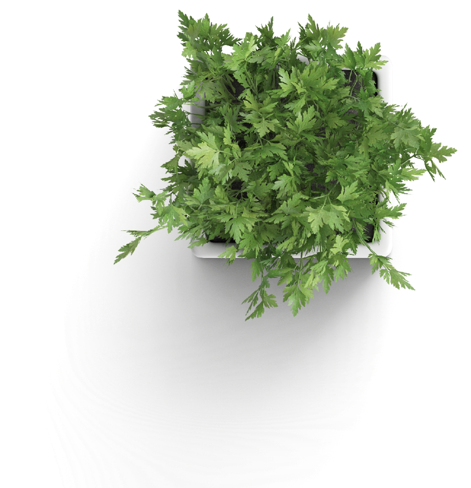 landing_page_03